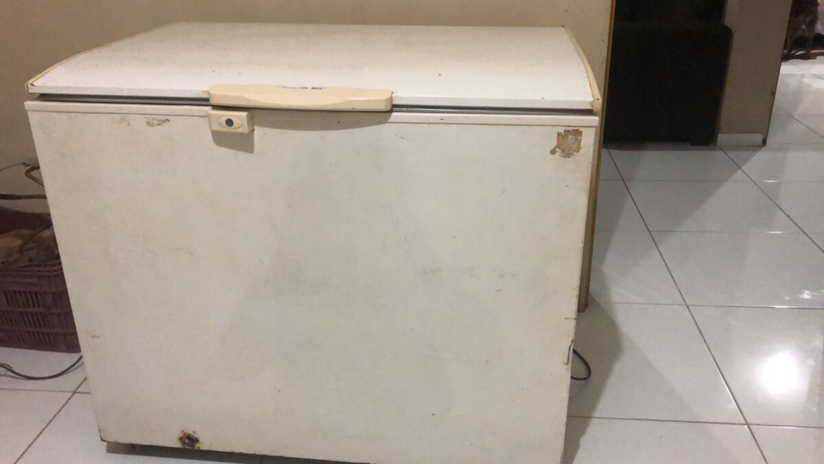 Freezer à venda