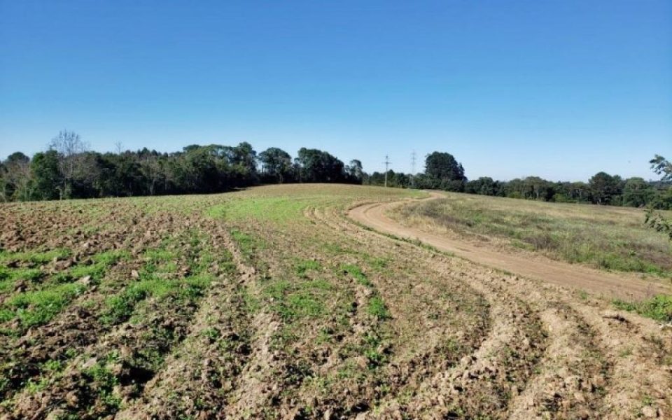 Terreno Rural à Venda